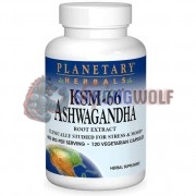 Ashwagandha [Ашваганда] (300 мг x 120 капс), Planetary Herbals