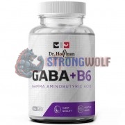 GABA [ГАБА] (500 мг x 90 капс), Dr. Hoffman