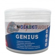 Genius [Фенилпирацетам] (10 гр x 100 порций), Noolect