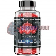 Lotus Black (90 капс), Regeneration Pharm